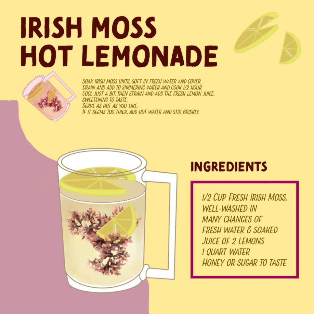 Picture of: Irish Moss Hot Lemonade @ Monhegan Commons